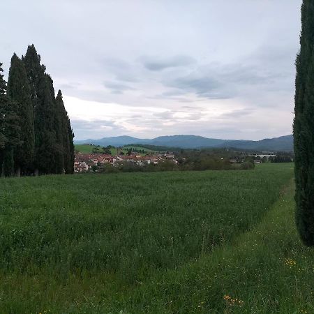 La Casetta Di Bruno Sul Passo Della Futa Traversa 外观 照片