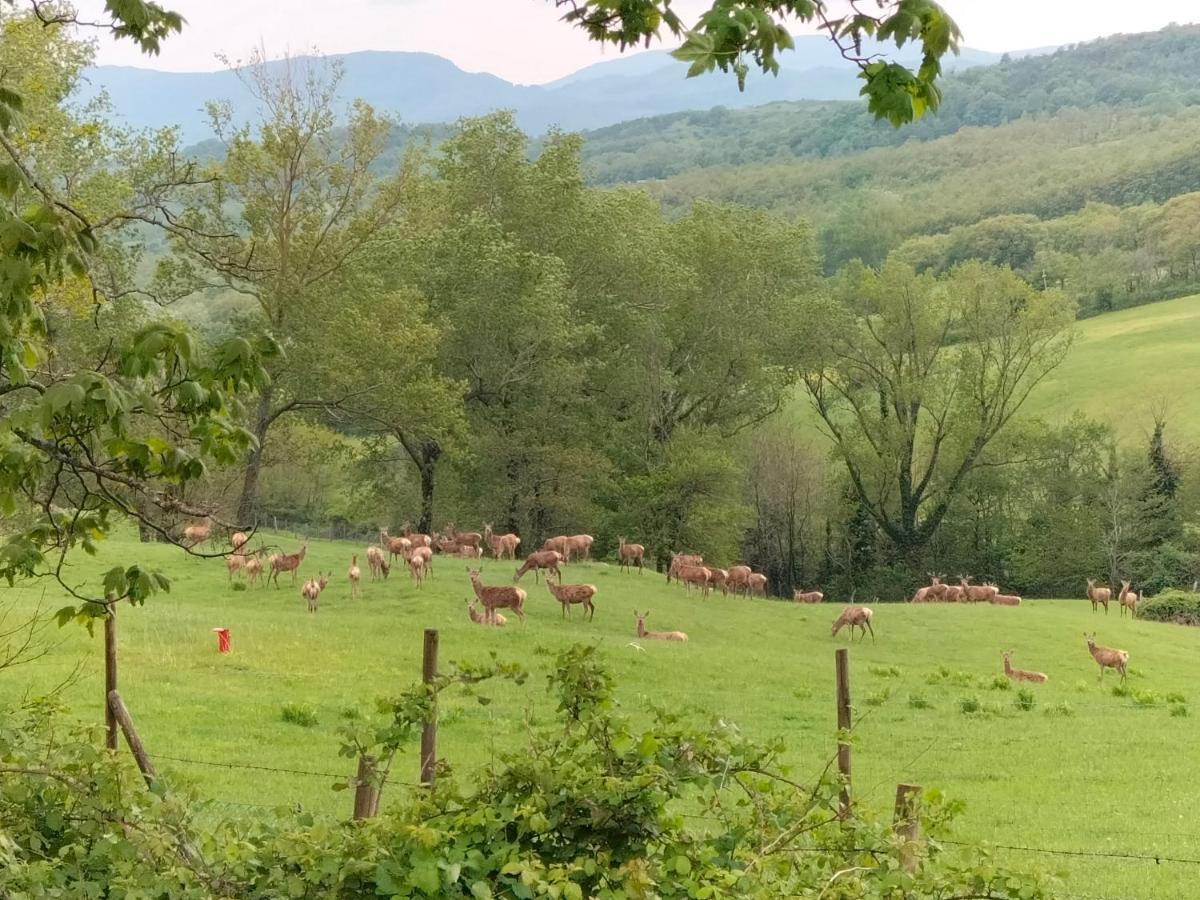La Casetta Di Bruno Sul Passo Della Futa Traversa 外观 照片